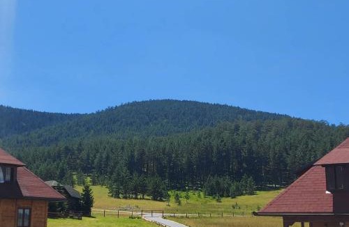 Zlatibor Ski Chalet | Vila Sofija Tornik