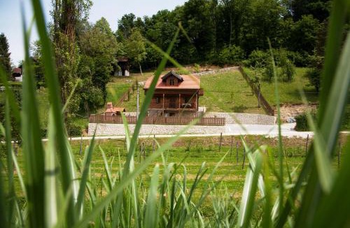 Tuhelj Villa | Vila Trnoružica