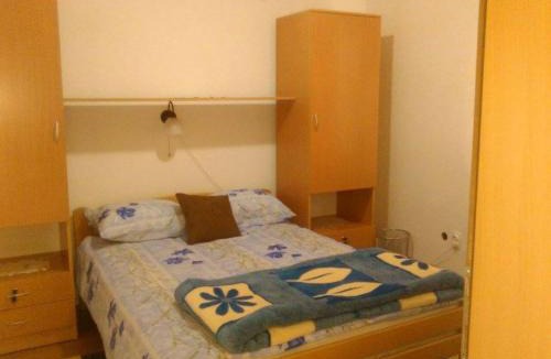 Gornja Trepca Apartment | Vila Zlata