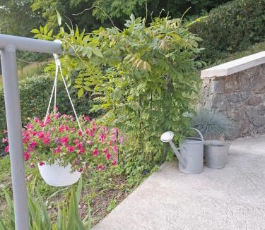 Tuhelj Villa | Villa Arboreta