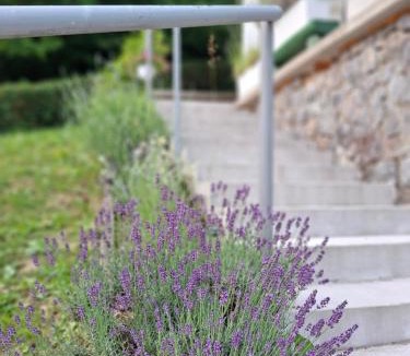Tuhelj Villa | Villa Arboreta