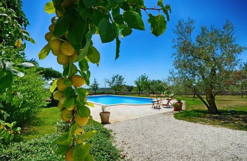 Mofardini Villa | Villa Benka, Istrian stone house