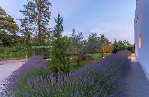 Zminj Villa | Villa Kate Istria