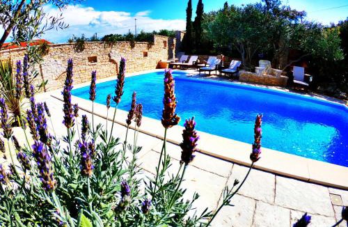 Susica Apartment | Villa Kos Murter Apartments