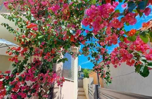 Rudine Villa | Villa Lilly