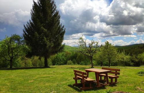 Poljanak House | Villa Lucija