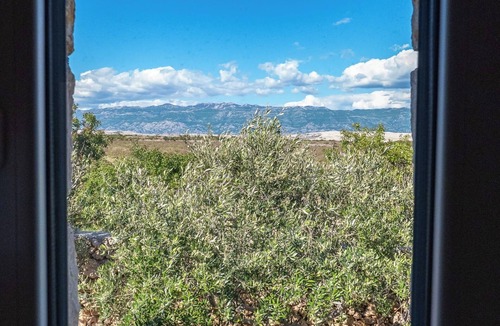 Zrce Villa | Villa Maslina: Rustic villa in an olive grove facing a bird sanctuary