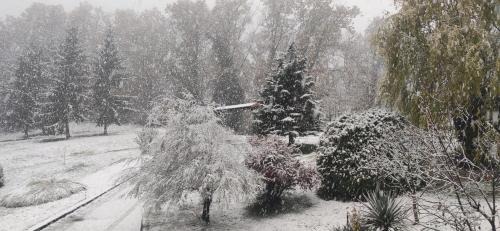 Orahovica Villa | Villa Merkur Orahovica - Holiday Home with Pool and Jacuzzi