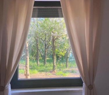 Rukavac Villa | Villa Mi, Rukavac Opatija Riviera