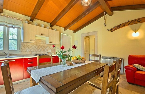 Musalez Villa | Villa Oliva - house with pool near Porec