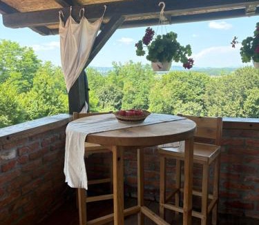 Rakovec House | Villa S&S
