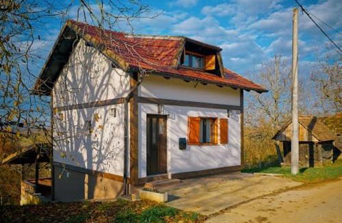 Rakovec House | Villa S&S