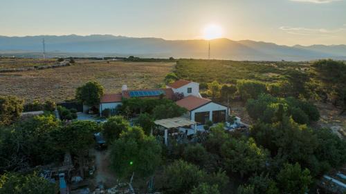 Zrce Villa | Villa Slatina near Zrce beach