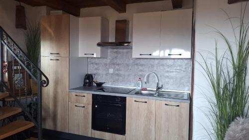 Krapina-Zagorje Apartment | Wine Hill House Trsek with Jacuzzi