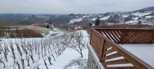 Breznik Plesivicki Ski Chalet | Wine Panorama house