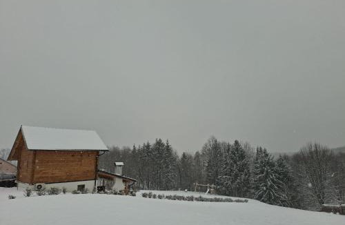 Breznik Plesivicki House | Wooden fairy tale vacation house
