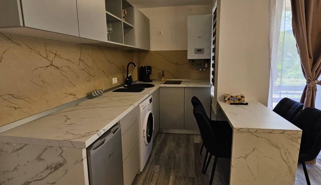 1 bedroom apartment perfect for guests with a modern and elegant design. in Vișeu de Sus