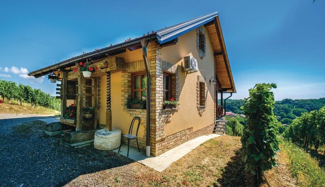 1 bedroom awesome home in Hrnjanec