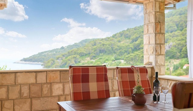 1 bedroom pet friendly apartment in Saplunara