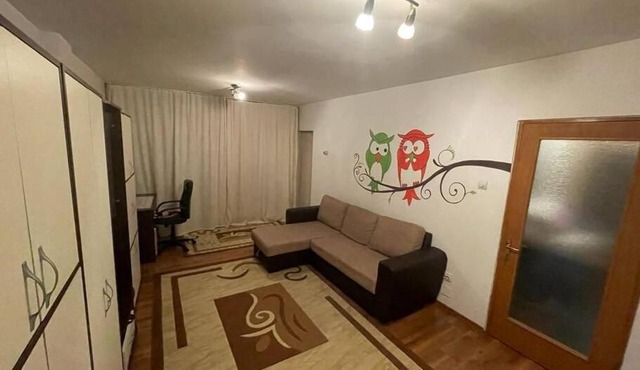 1 Room with 1 cozy bed, 1 bathroom and kitchen in Orăştie