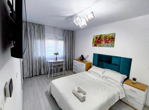 18 Modern Studio Self Check-in in Arad
