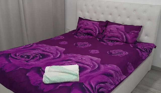 2 Bed-AirCon-Free Parking-City Centre in Bucharest