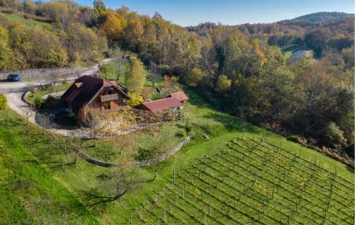 2 Bedroom Gorgeous Home In Veliki Vrh Kamanjski