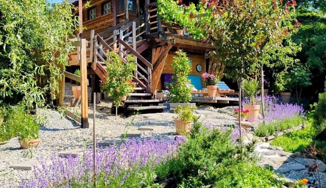 479 Tiny House, Domeniul von Agodt in Bradu