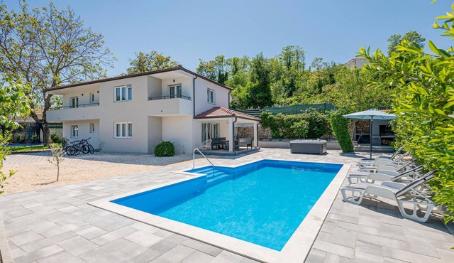 5 bedroom gorgeous home in Zmijavci
