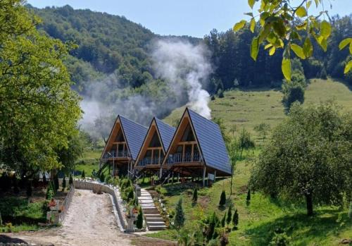 A-Frame Bella in Zăvoi