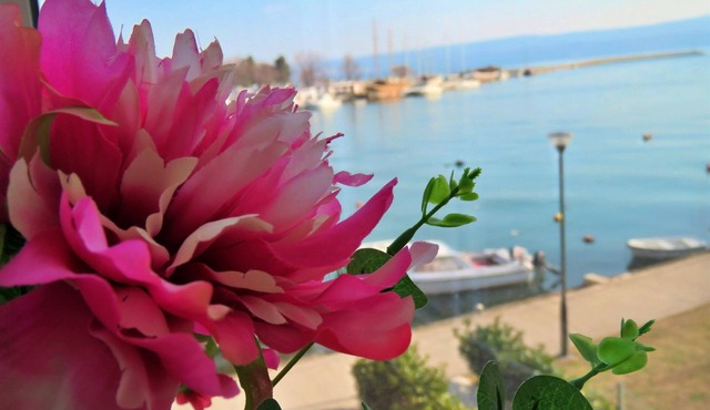 A nice apartment in the center of Omis, with a wonderful view of the river.