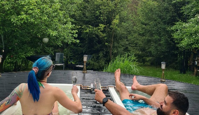 A small house from Transylvania, in the middle of nature, with a wild jacuzzi in Ciugudu de Sus