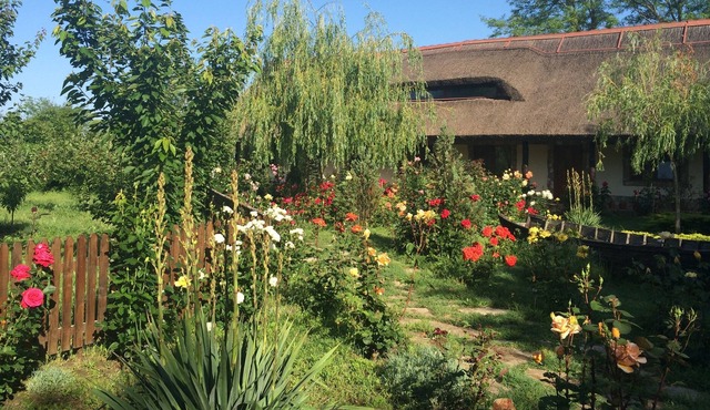 Agrotourism Holiday Cottages In Danube Delta in Murighiol