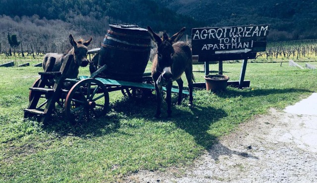 Agroturizam Toni