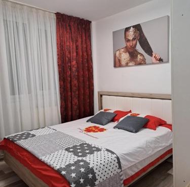 Ali Relax Home Apartment in Roman