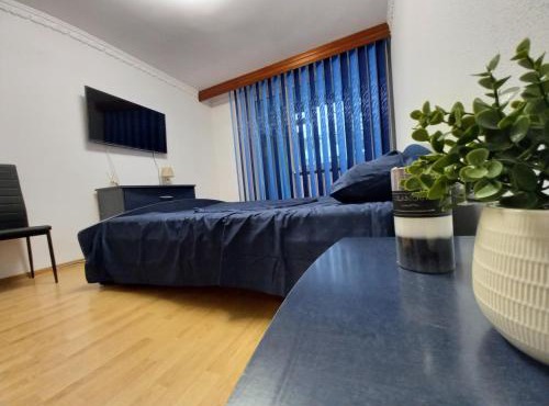 ALMA Apartament in Piatra Neamţ