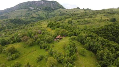 Almost Heaven - cabană cu vedere în Apuseni in Blajeni