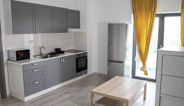Altivo Suites Copou in Iasi