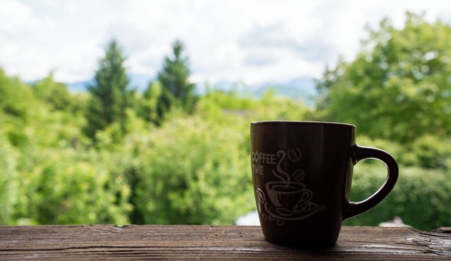 Ama Bliss – A cozy mountain cabin with view in Avrig