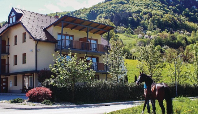 Amazing apartment in Lasko in Lasko
