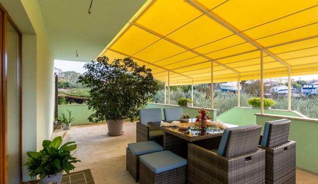 Amazing apartment in Nenadici