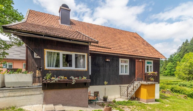 Amazing home in Lucice - Delnice