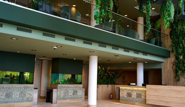 Amazonia Hotel in Timisoara