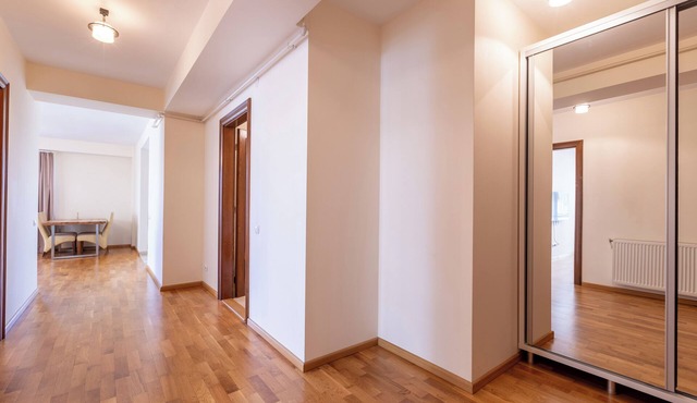 AMBER apartments Large & Cozy Flat SIBIU #24 in Sibiu