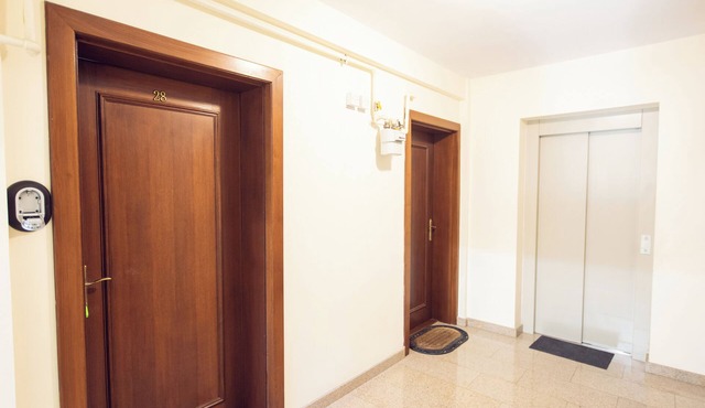 AMBER apartments Spacious FLAT near park SIBIU #28 in Sibiu
