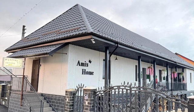 Ami's Home in Sapinta