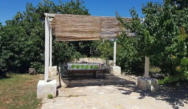 Apartments Sea View (10954-A1) - Savar (island of Dugi otok) in Savar (island of Dugi otok)