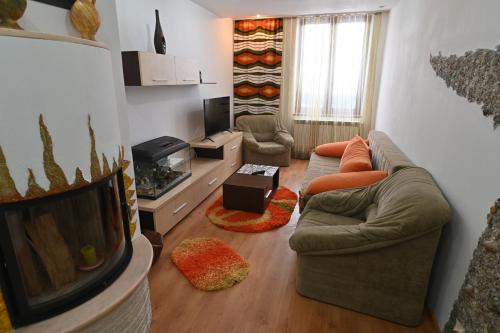 Apartament Camelia in Petrosani