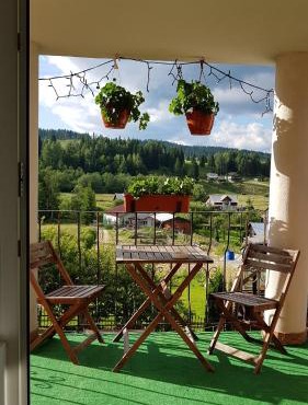 Apartament Casa Teo in Şaru Dornei