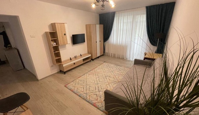 Apartament la Nicole ultracentral Bld Roman bloc 39 in Roman